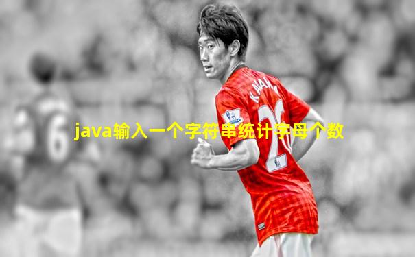 java输入一个字符串统计字母个数