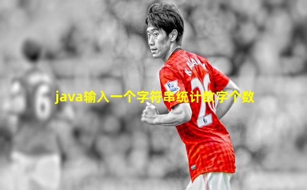 java输入一个字符串统计数字个数