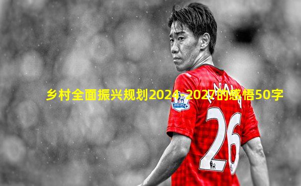 乡村全面振兴规划2024-2027的感悟50字