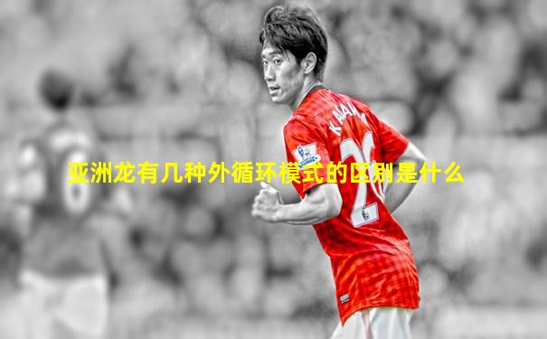 亚洲龙有几种外循环模式的区别是什么