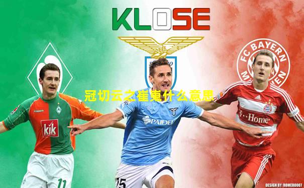 冠切云之崔嵬什么意思