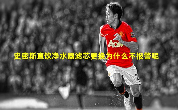 史密斯直饮净水器滤芯更换为什么不报警呢