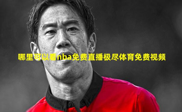 哪里可以看nba免费直播极尽体育免费视频