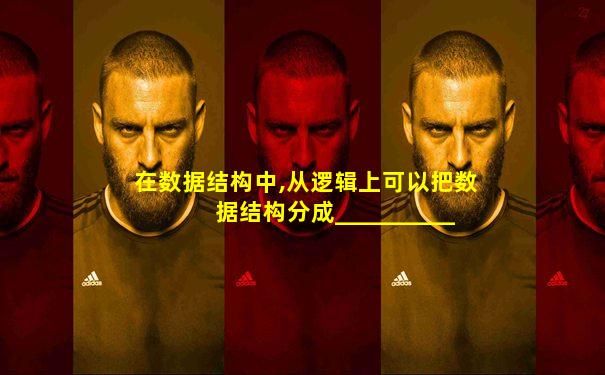 在数据结构中,从逻辑上可以把数据结构分成___________