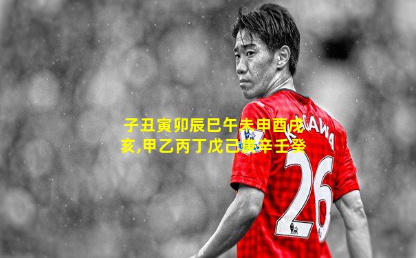 子丑寅卯辰巳午未申酉戌亥,甲乙丙丁戊己庚辛壬癸