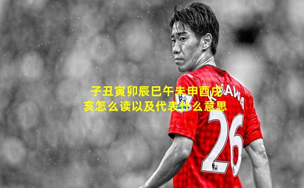 子丑寅卯辰巳午未申酉戌亥怎么读以及代表什么意思
