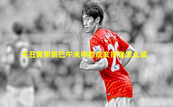 子丑寅卯辰巳午未申酉戌亥拼音怎么读