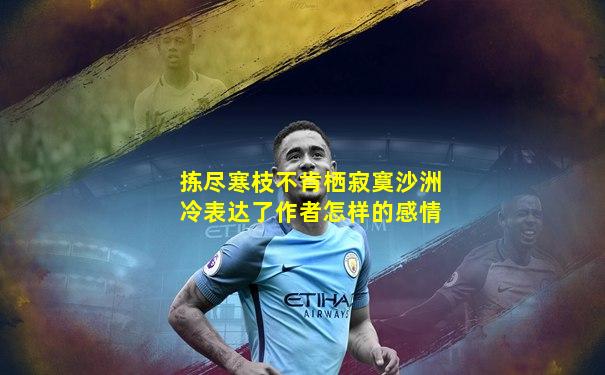 拣尽寒枝不肯栖寂寞沙洲冷表达了作者怎样的感情