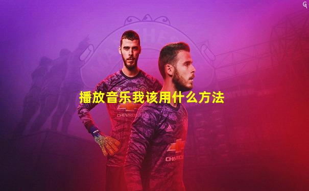 播放音乐我该用什么方法