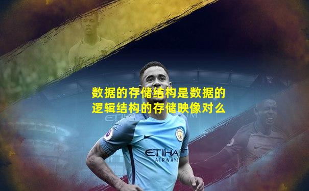数据的存储结构是数据的逻辑结构的存储映像对么