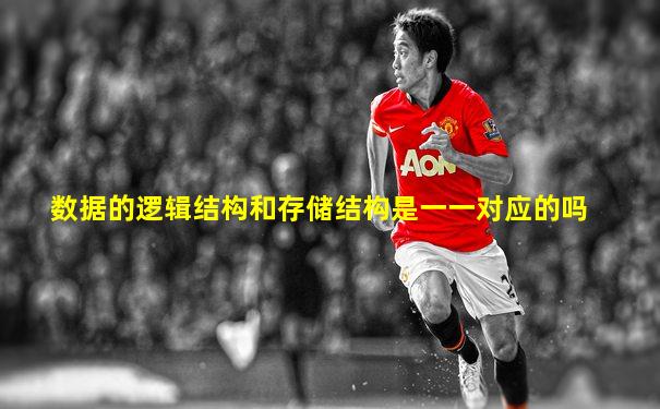 数据的逻辑结构和存储结构是一一对应的吗
