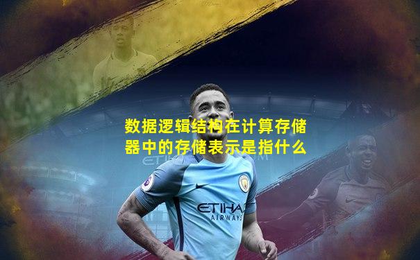 数据逻辑结构在计算存储器中的存储表示是指什么