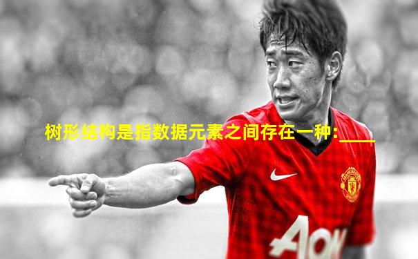 树形结构是指数据元素之间存在一种:____