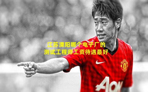 江苏溧阳哪个电子厂的测试工程师工资待遇最好