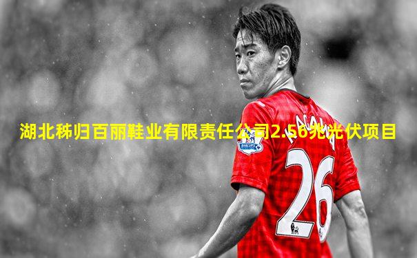 湖北秭归百丽鞋业有限责任公司2.56兆光伏项目