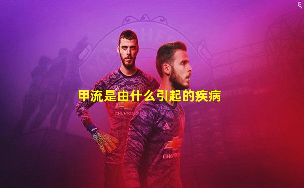 甲流是由什么引起的疾病