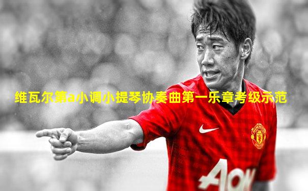 维瓦尔第a小调小提琴协奏曲第一乐章考级示范
