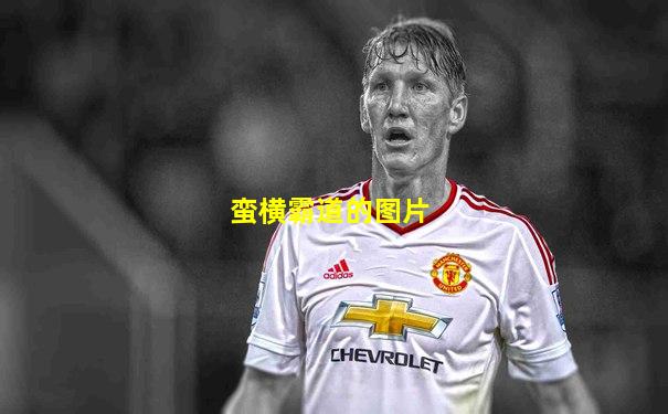 蛮横霸道的图片