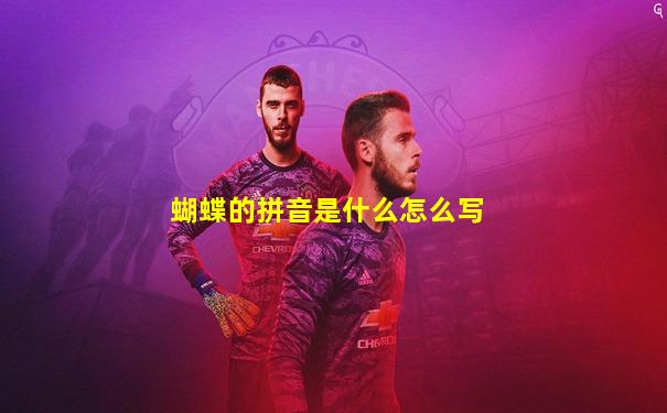 蝴蝶的拼音是什么怎么写