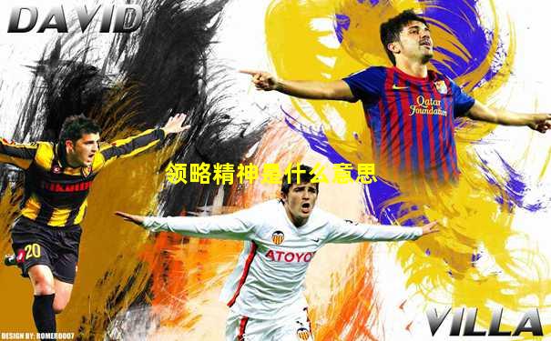 领略精神是什么意思