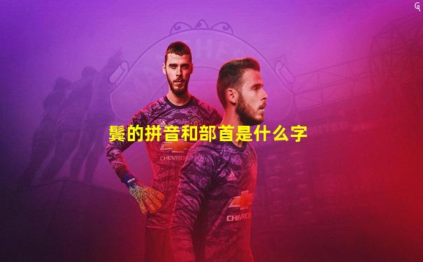 鬓的拼音和部首是什么字