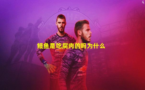 鳗鱼是吃腐肉的吗为什么