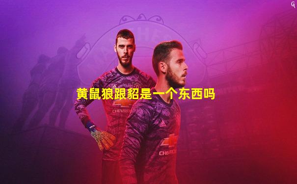 黄鼠狼跟貂是一个东西吗