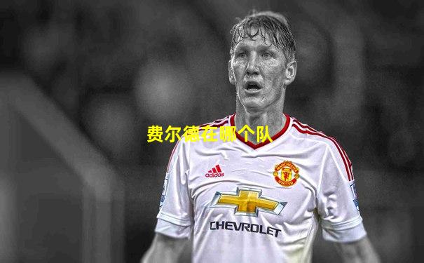 费尔德在哪个队